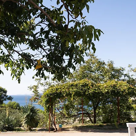 Mrvica - Bilo, Primosten * Otok Trara