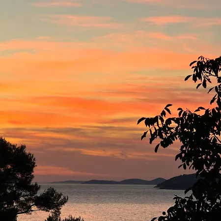 Mrvica - Bilo, Primosten