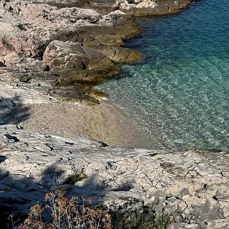 Mrvica - Bilo, Primosten