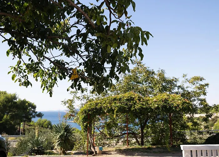 Mrvica - Bilo, Primosten * Otok Trara