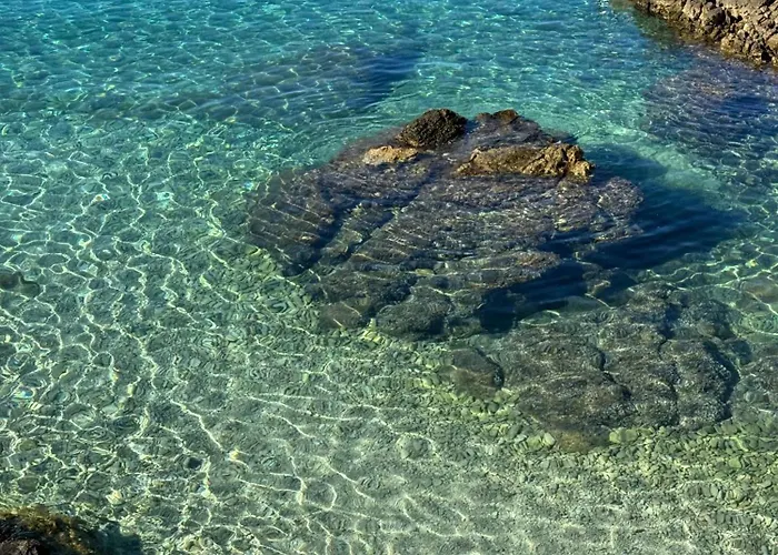 Mrvica - Bilo, Primosten Appartement Otok Trara